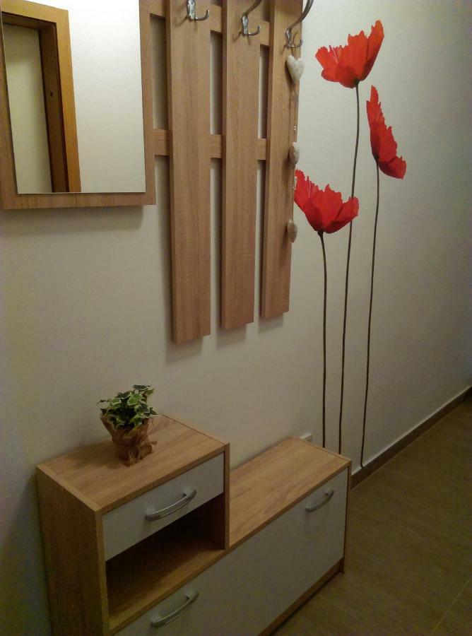 דארובר Studio Apartman Zdral מראה חיצוני תמונה